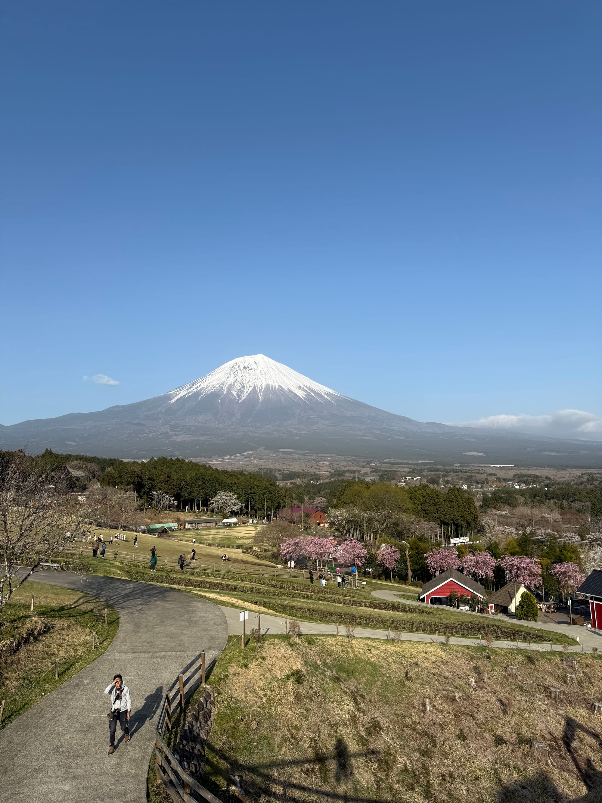 Road tripping around Mount Fuji🌸