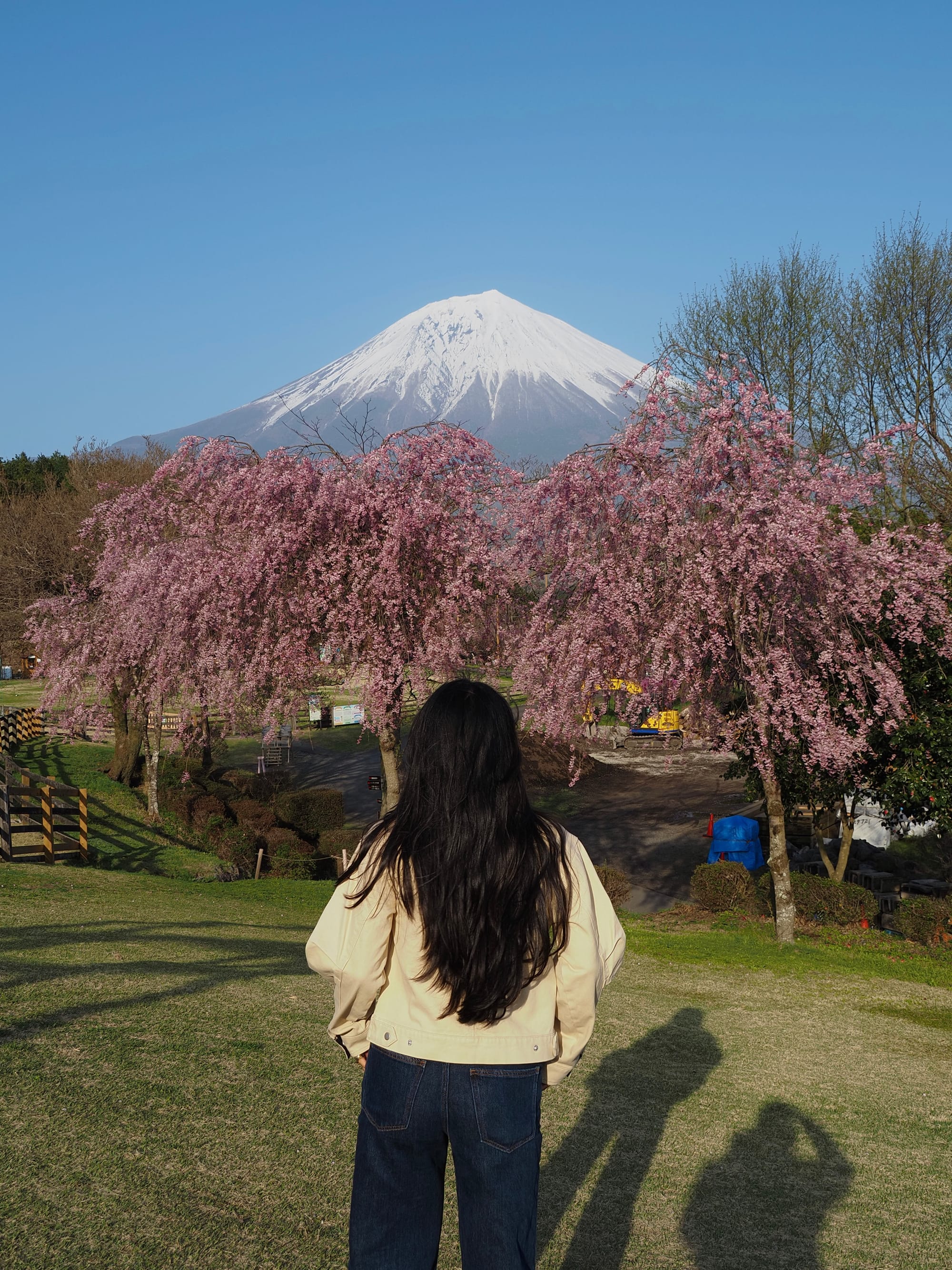 Road tripping around Mount Fuji🌸