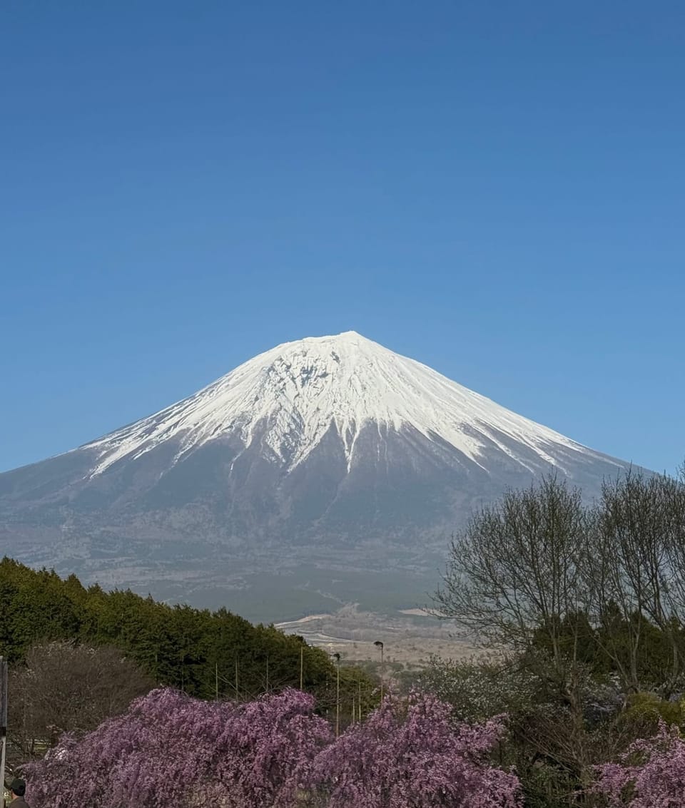 Road tripping around Mount Fuji🌸 (not finished yet)