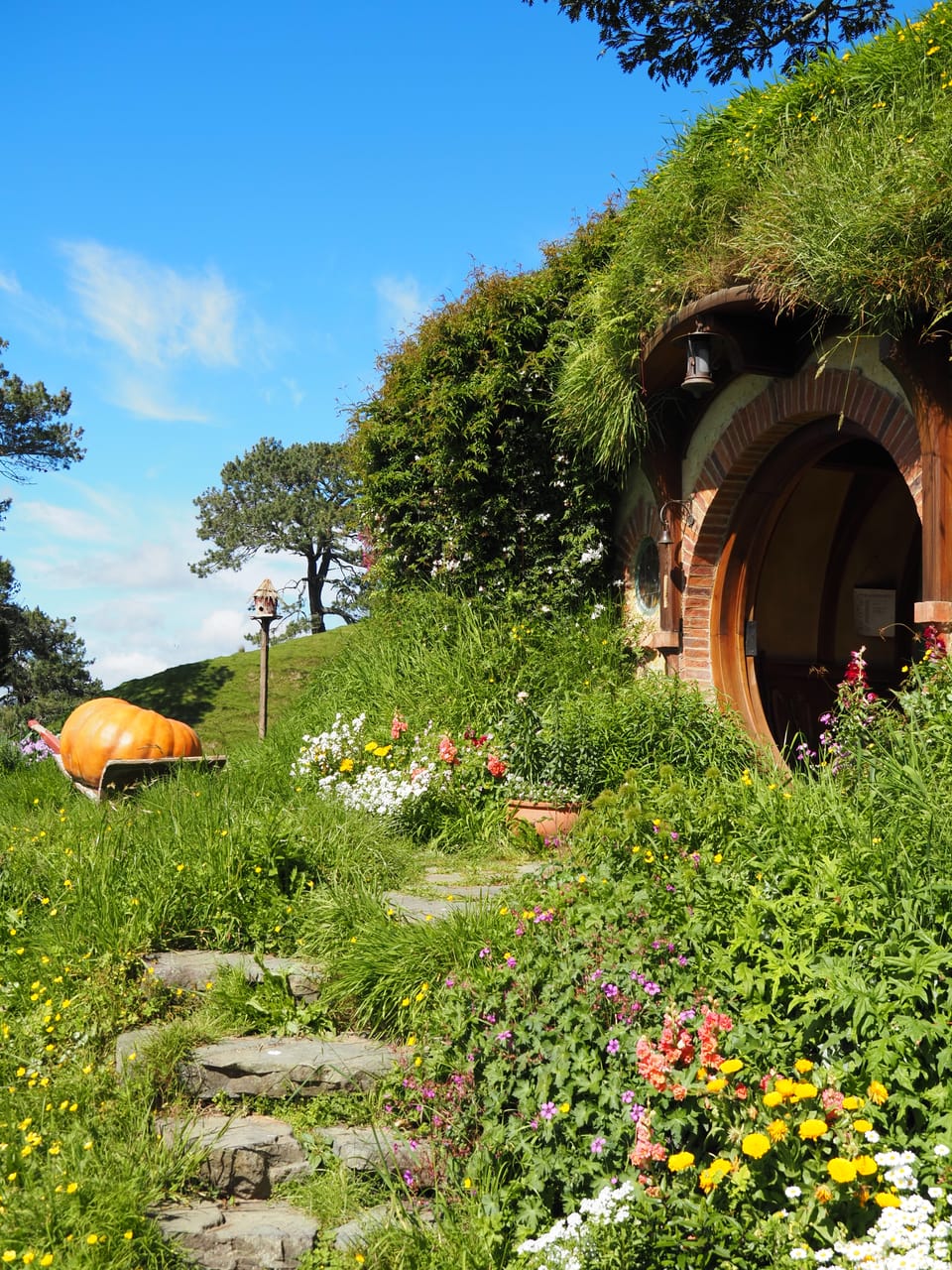 The Hobbiton Experience🧙‍♂️